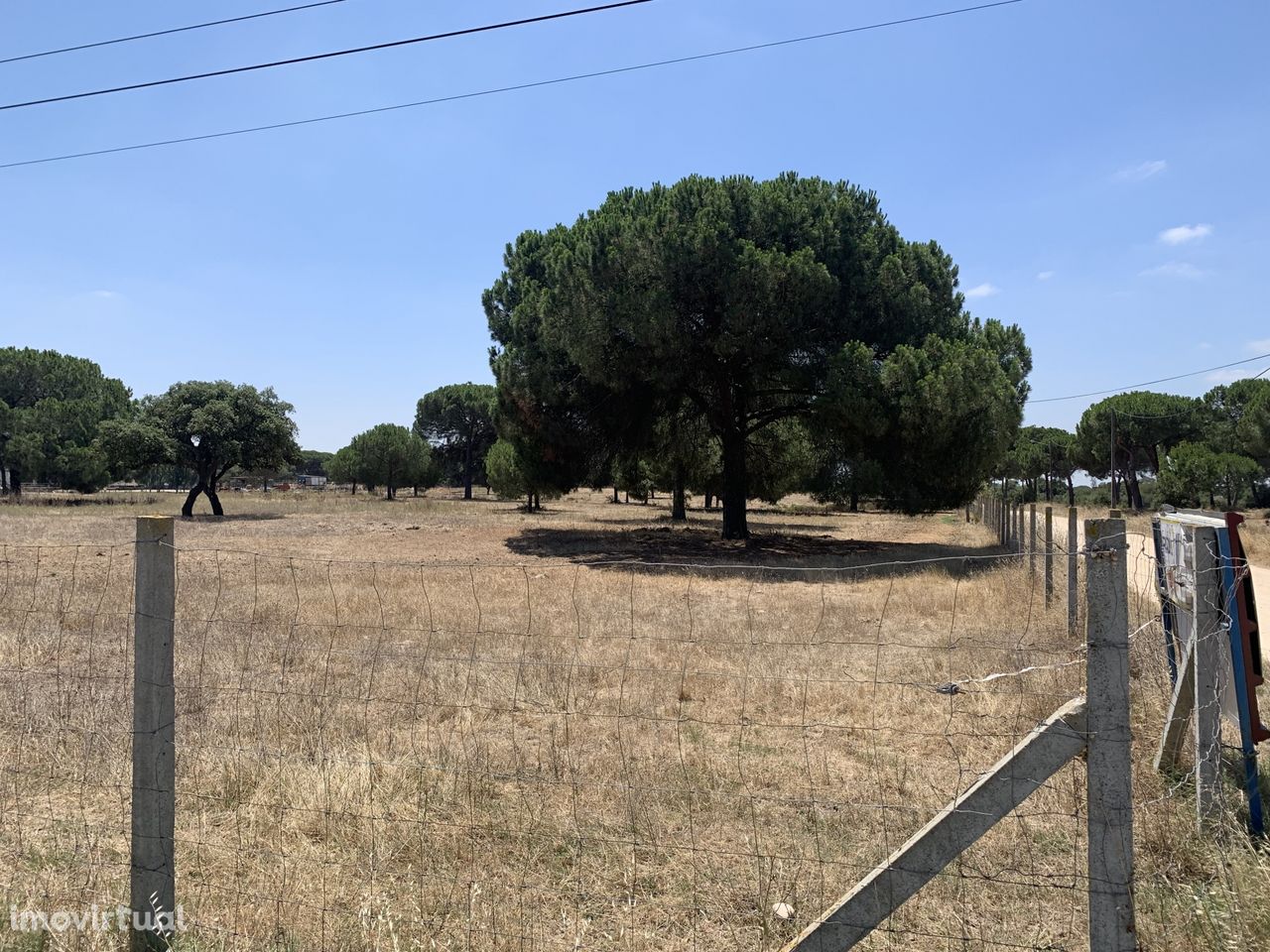 Terreno Rústico em Benavente