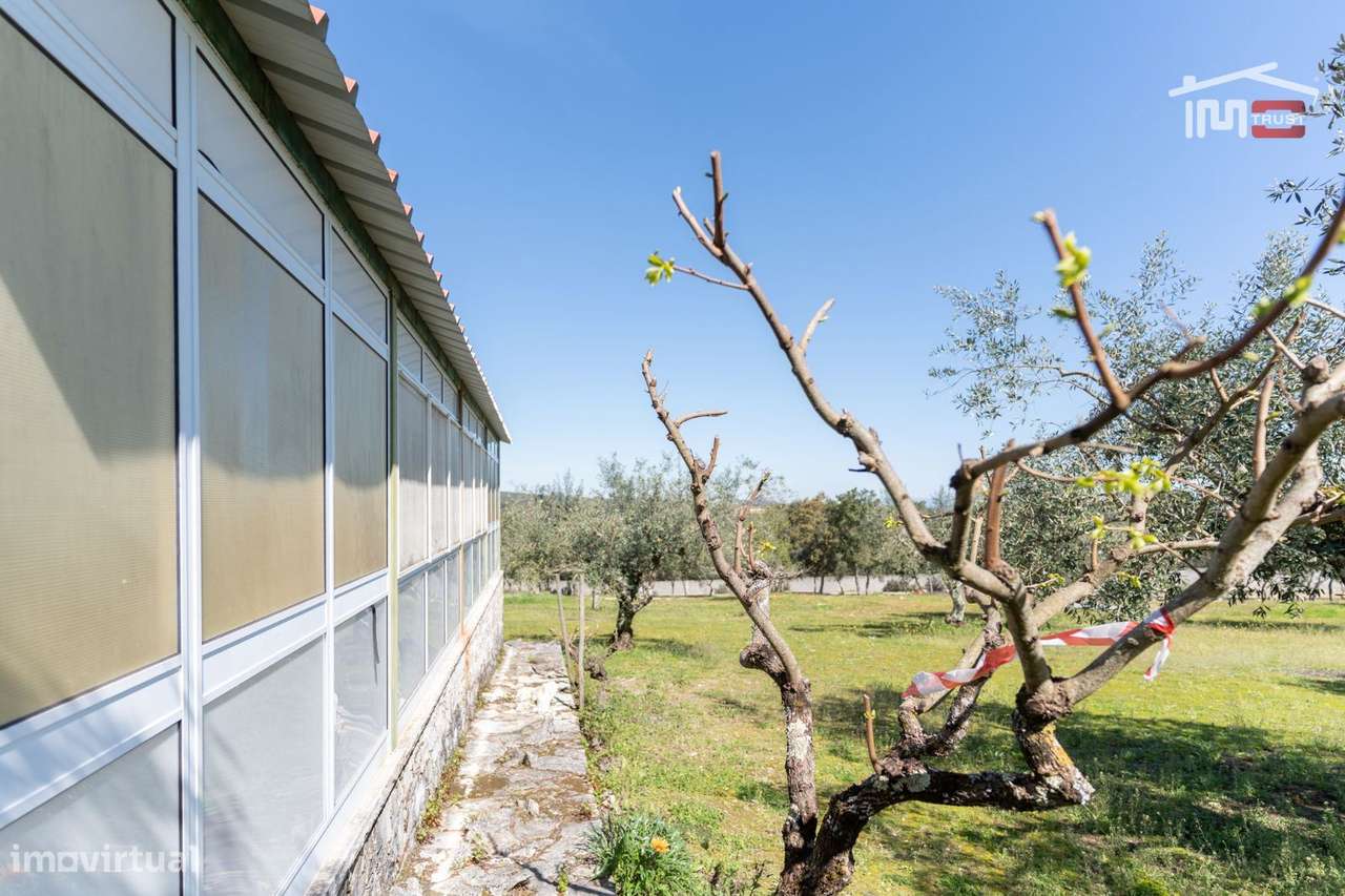 Fantástica Moradia T5 com piscina com 1ha de terreno em Pedreira, F...-30