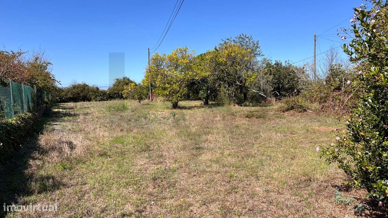 Moradia T5  com 238 m2 | Terreno 2.214 m2 | Vagos, Aveiro-18