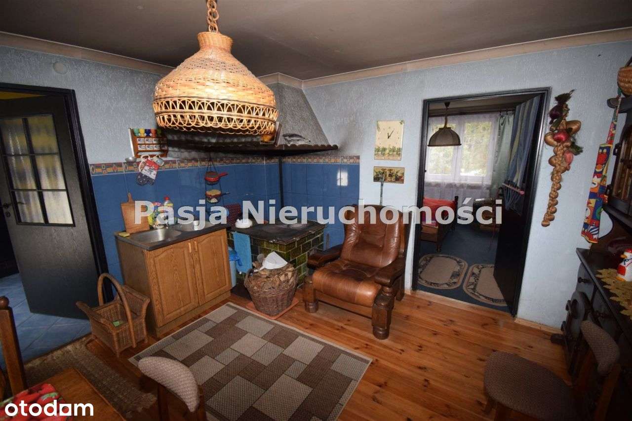 Siedlisko przy lesie-7