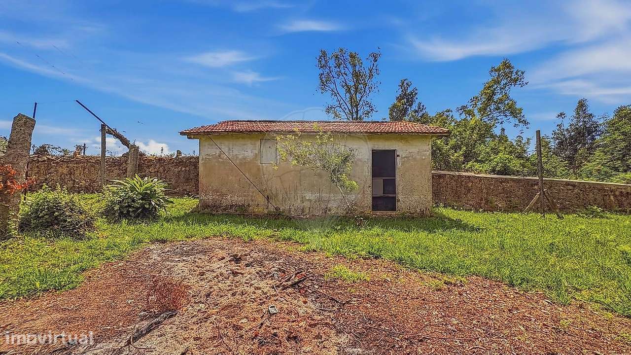 Quinta T4 para venda-13