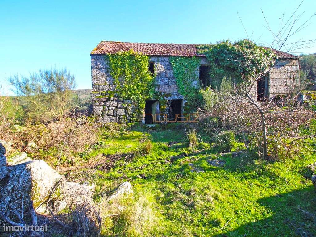 Terreno de 84 hectares-12