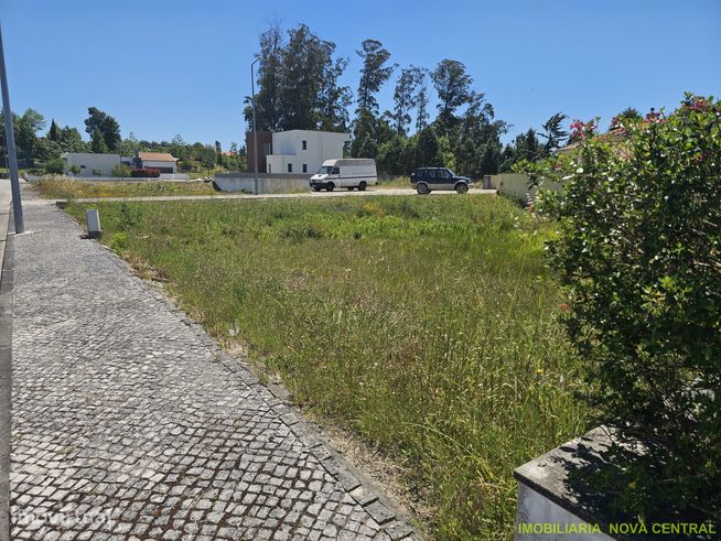 Lote de Terreno  Venda em Ançã,Cantanhede-3