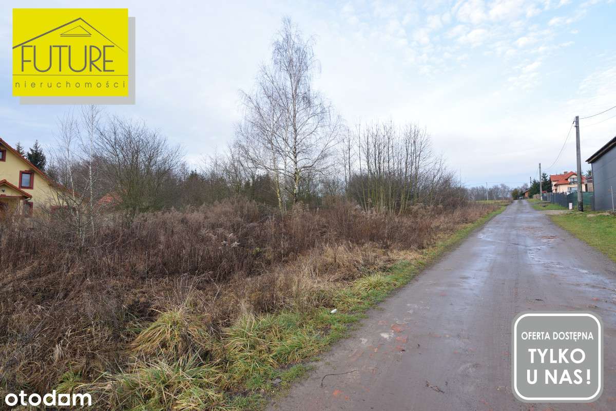 Działaka 2000m w Pilonie - Pełny obrazek: 4/5