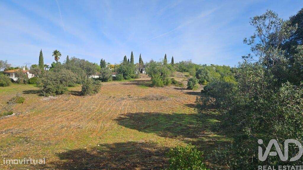 Terreno em Faro - Grande imagem: 5/6