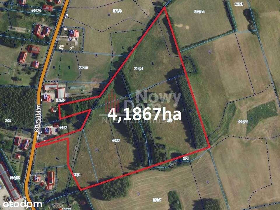Działka Miłki! Mazury! - Pełny obrazek: 4/12