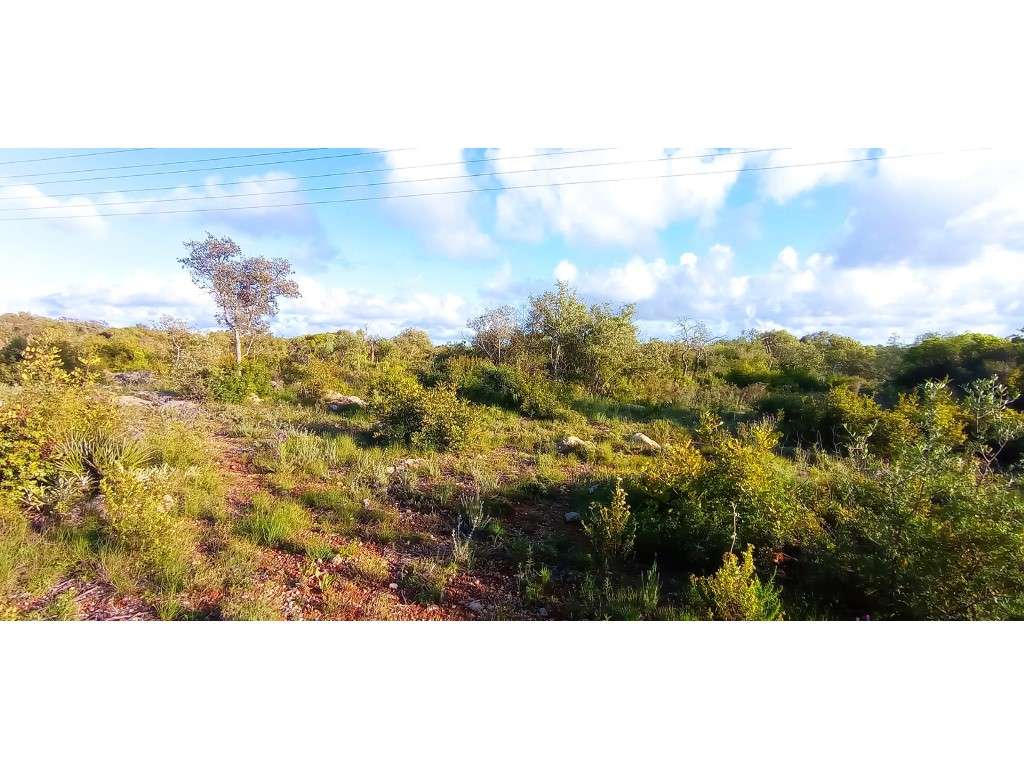 Terreno rústico em Estói a 13km do litoral algarvio, Faro - Grande imagem: 3/30