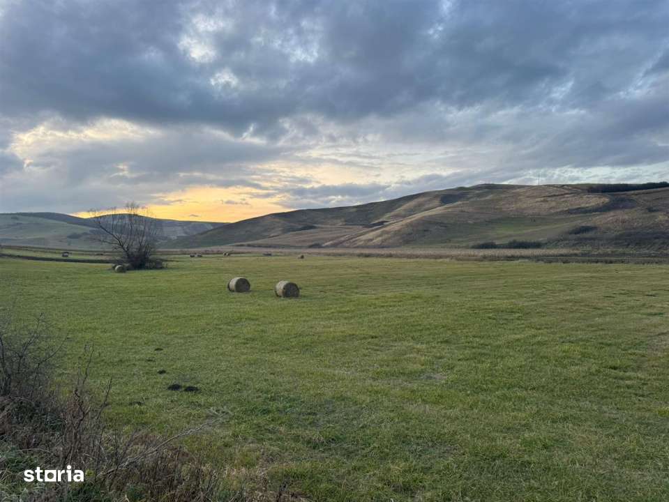 Teren Extravilan I 6000 Mp I Acces la drum | Cojocna-0