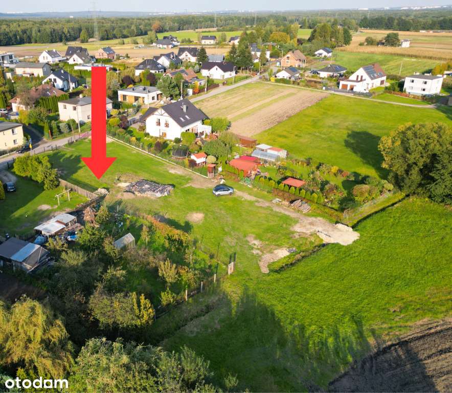 3352/2658/OGS - Pełny obrazek: 2/6