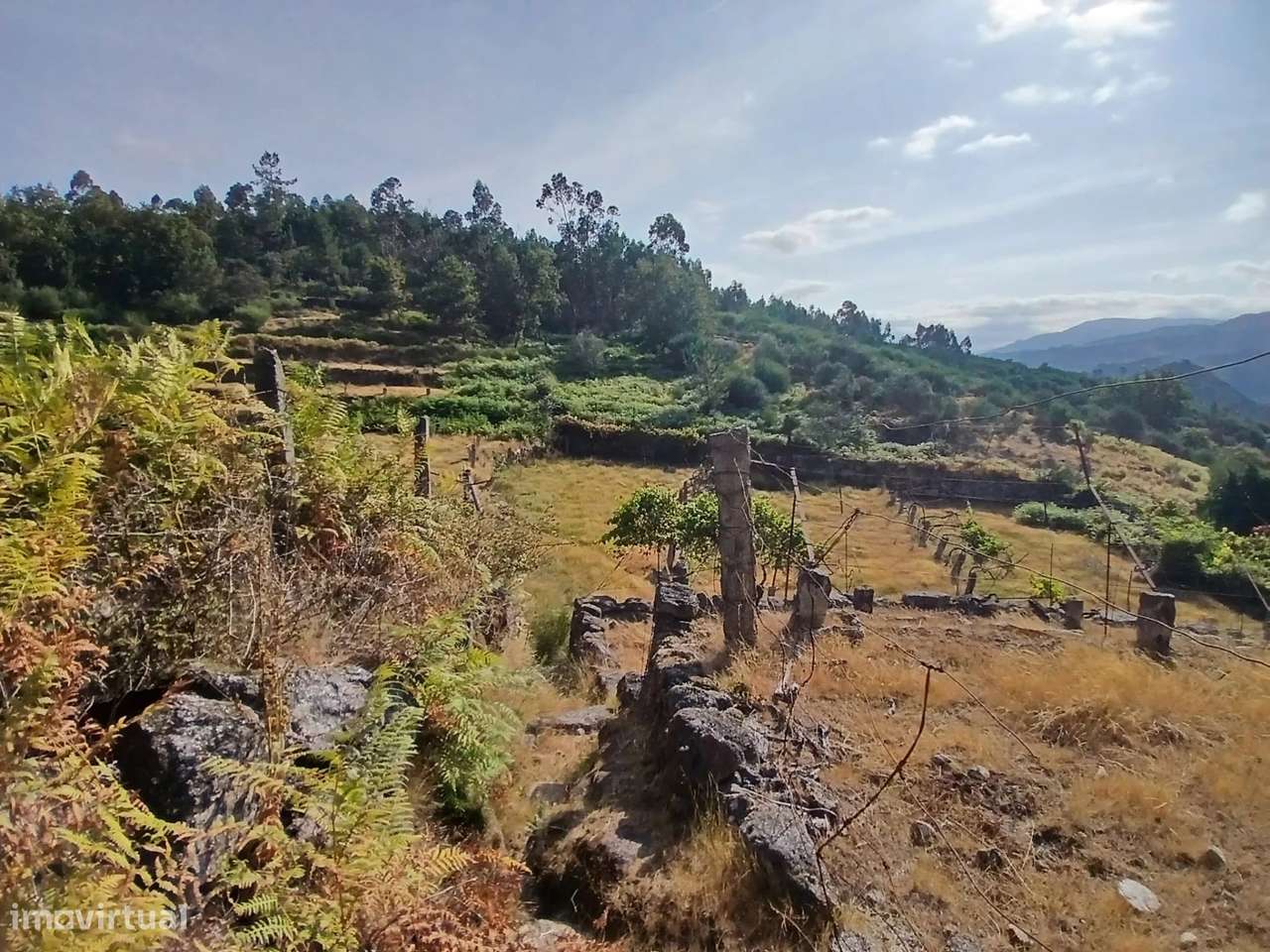 Terreno rústico com casa em pedra para recuperar – Soajo, Arcos de Val-20