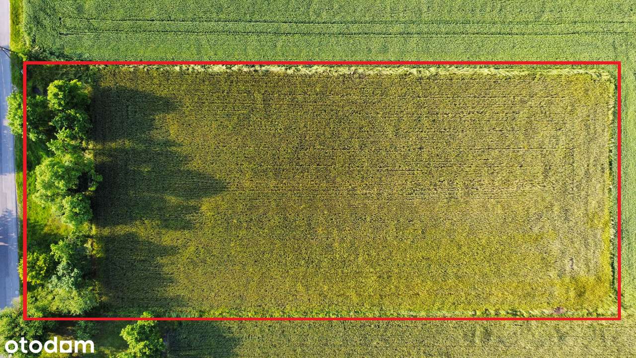 Prąd, woda, kanalizacja! Opcja podziału! 81m x 37m! BUDOWLANA !!-7