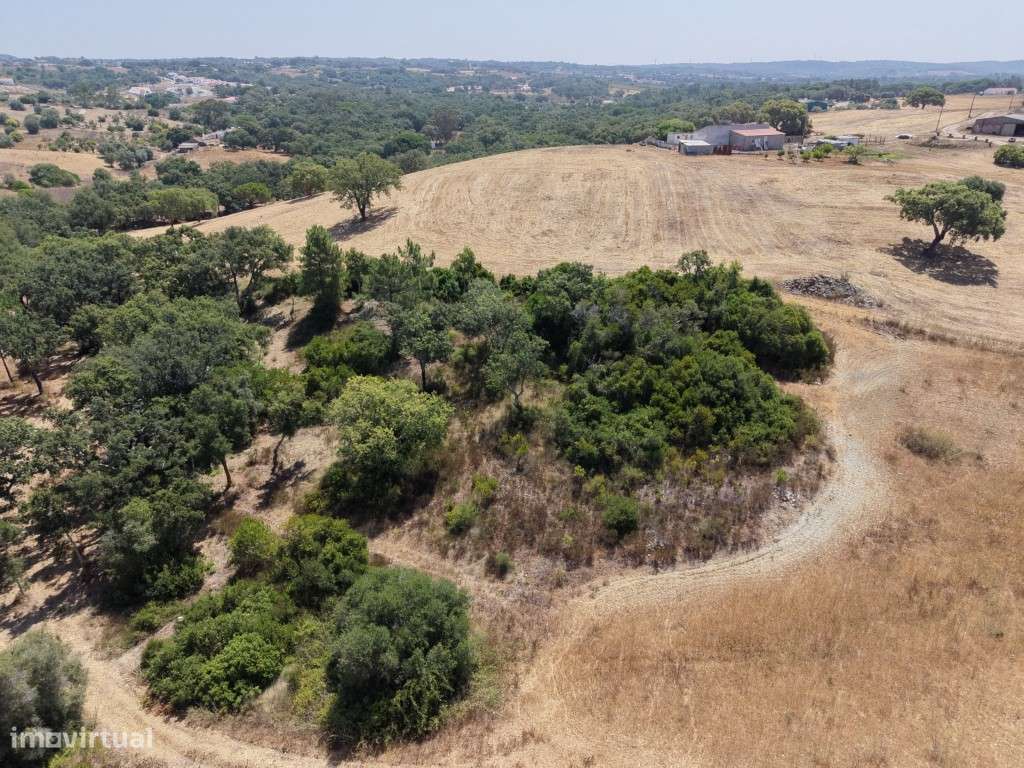 MONTE ALENTEJANO, c/ 47.476m² (Piscina biológica)-54