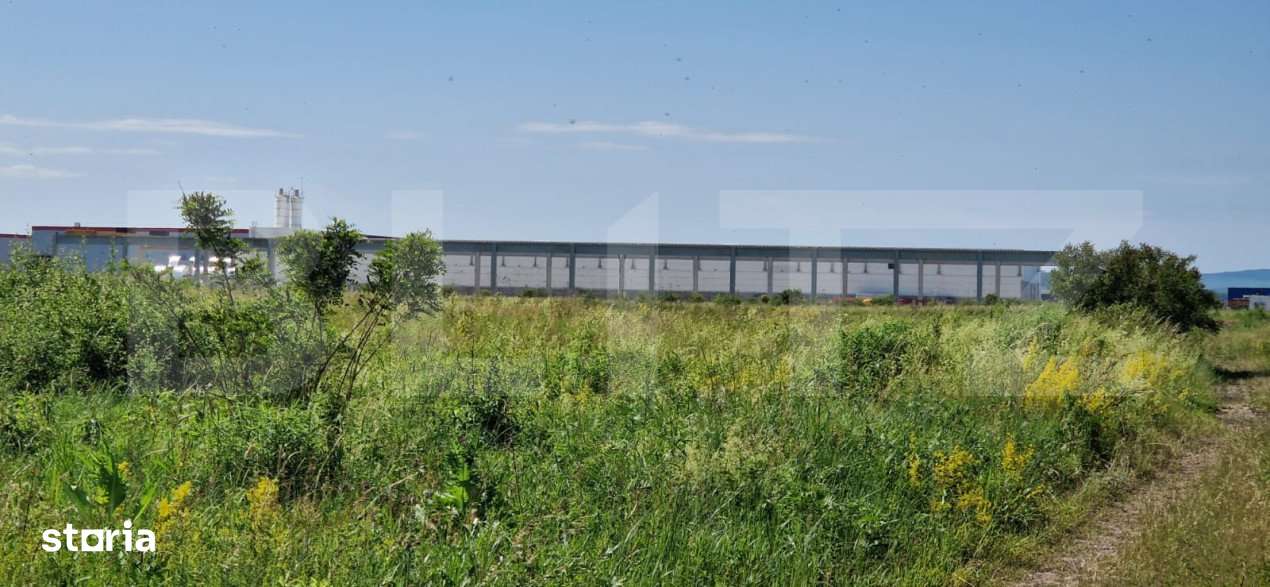 Teren intravilan, 8633 mp, Rascruci - Imagine principală: 4/7