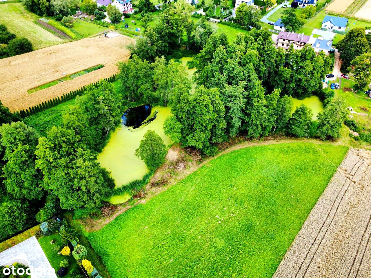 Wyjątkowa działka 81 ar | Przybysławice | staw, zieleń, media, MPZP-6