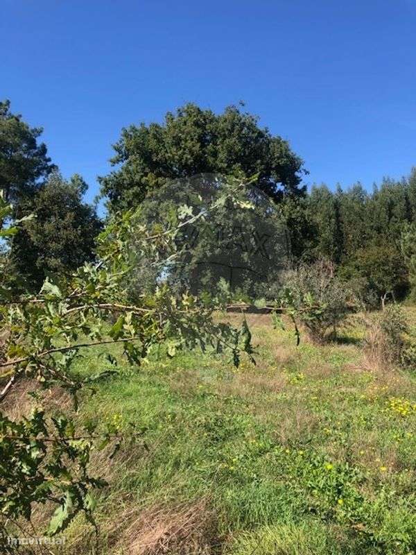 Terreno  para venda - Grande imagem: 2/4