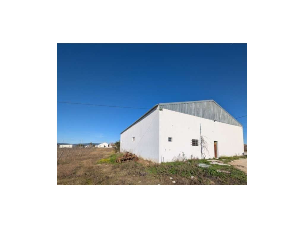 Quinta vinícola e olival, próximo da Vila de Redondo - Grande imagem: 5/10