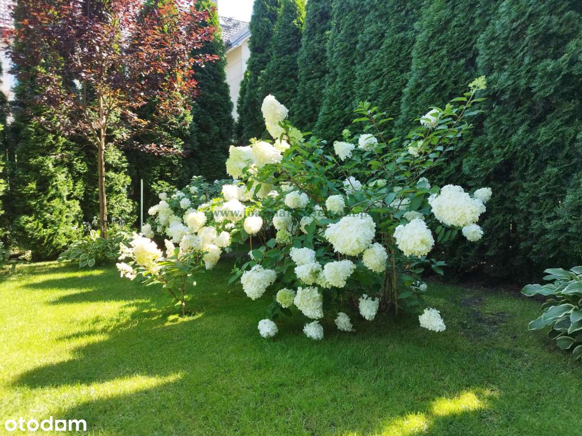 Wawer - elegancki, funkcjonalny dom - Pełny obrazek: 3/20