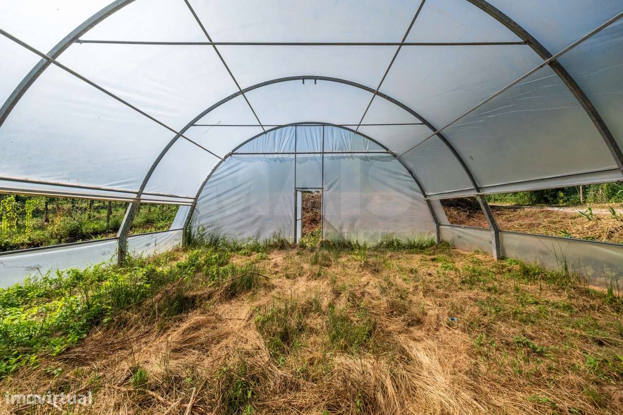 Terreno Agrícola na Fanadia | 16.100 m² de Potencial e Infraestrutu...-18