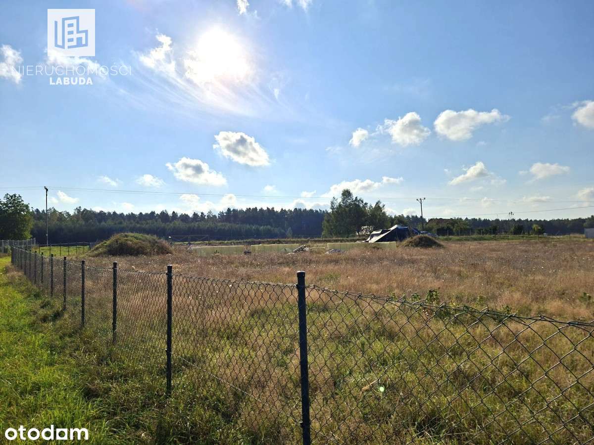 Fundamenty + projekt + drewniany dom – dz. 4 400m2 - Pełny obrazek: 3/15