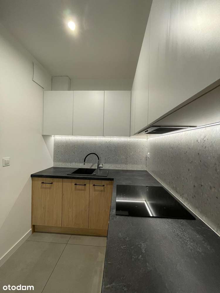 Greendustry, 2 pokojowe z ogródkiem, BEZ PROWIZJI - Pełny obrazek: 3/10