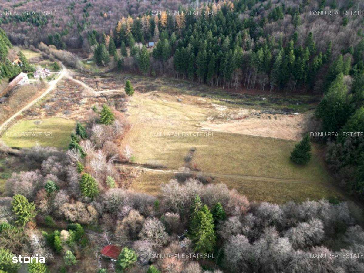 Teren intravilan2000mp în Vulcan BV–Oază de liniște -pădure si lacuri-9