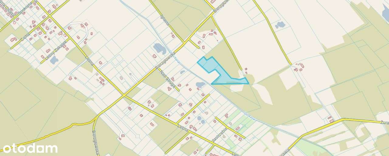 Wśród natury - las.. łąki.. i szybki dojazd do Torunia i Bydgoszczy-12