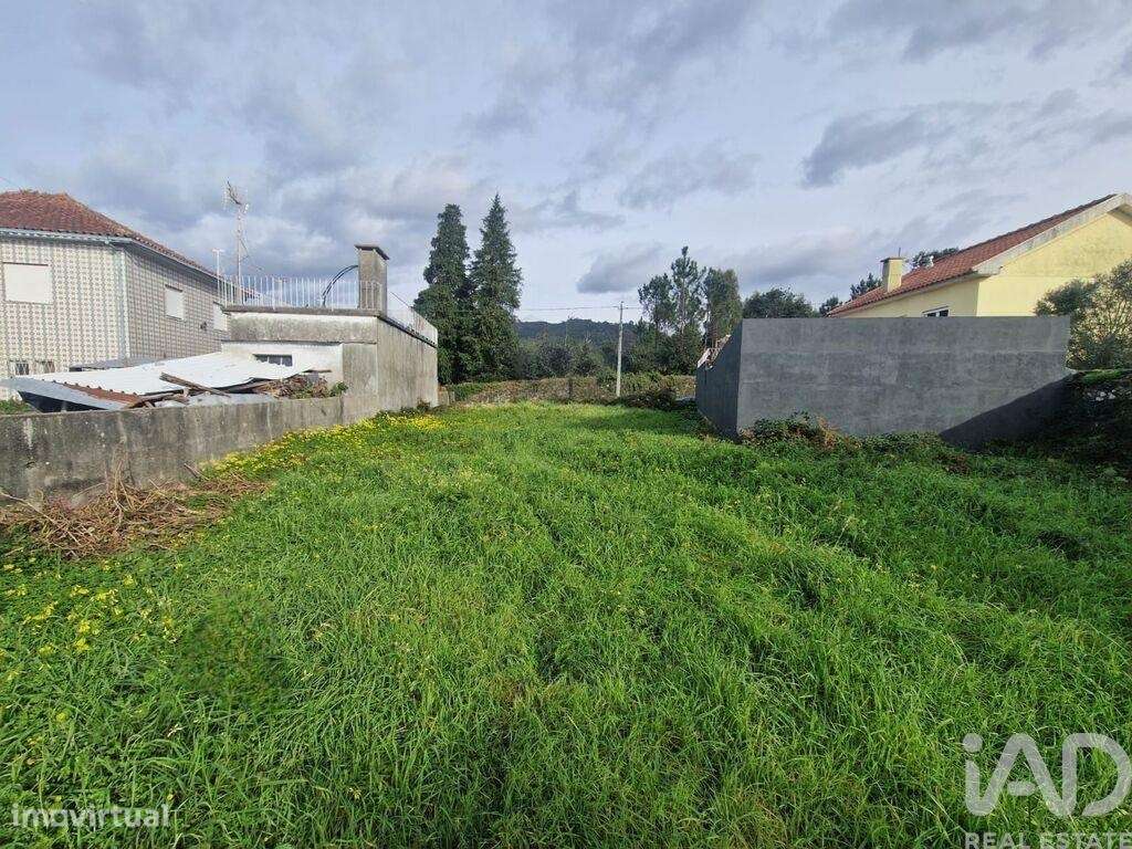 Terreno Agrícola em Santa Marta de Portuzelo - Grande imagem: 5/14