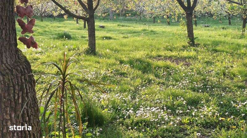 Casa pentru independenta - Imagine principală: 4/6