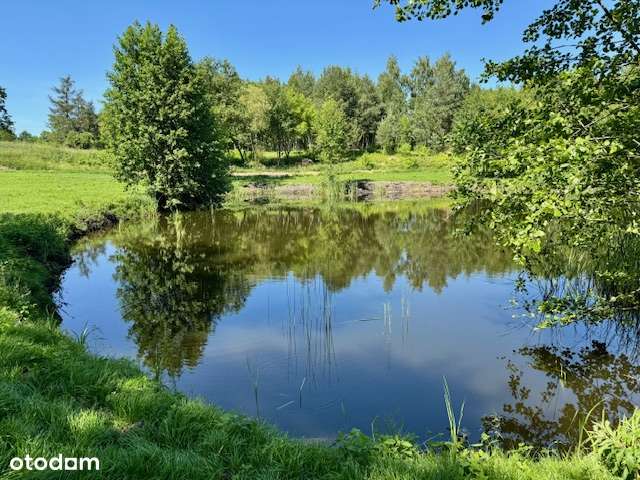 OSADA nad jeziorem (media, las, staw, mpzp)-6