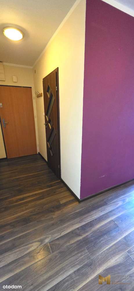 Funkcjonalne, bezczynszowe, Krzemieniecka-16