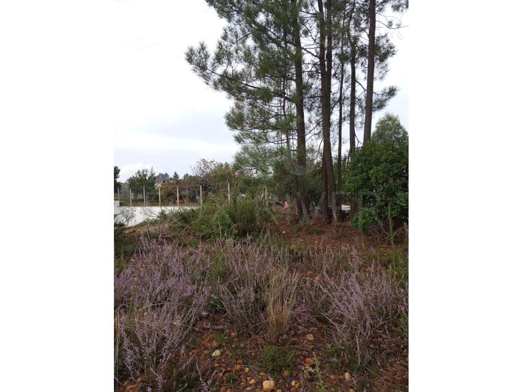 Terreno para construção Bela, Monção - Grande imagem: 5/8