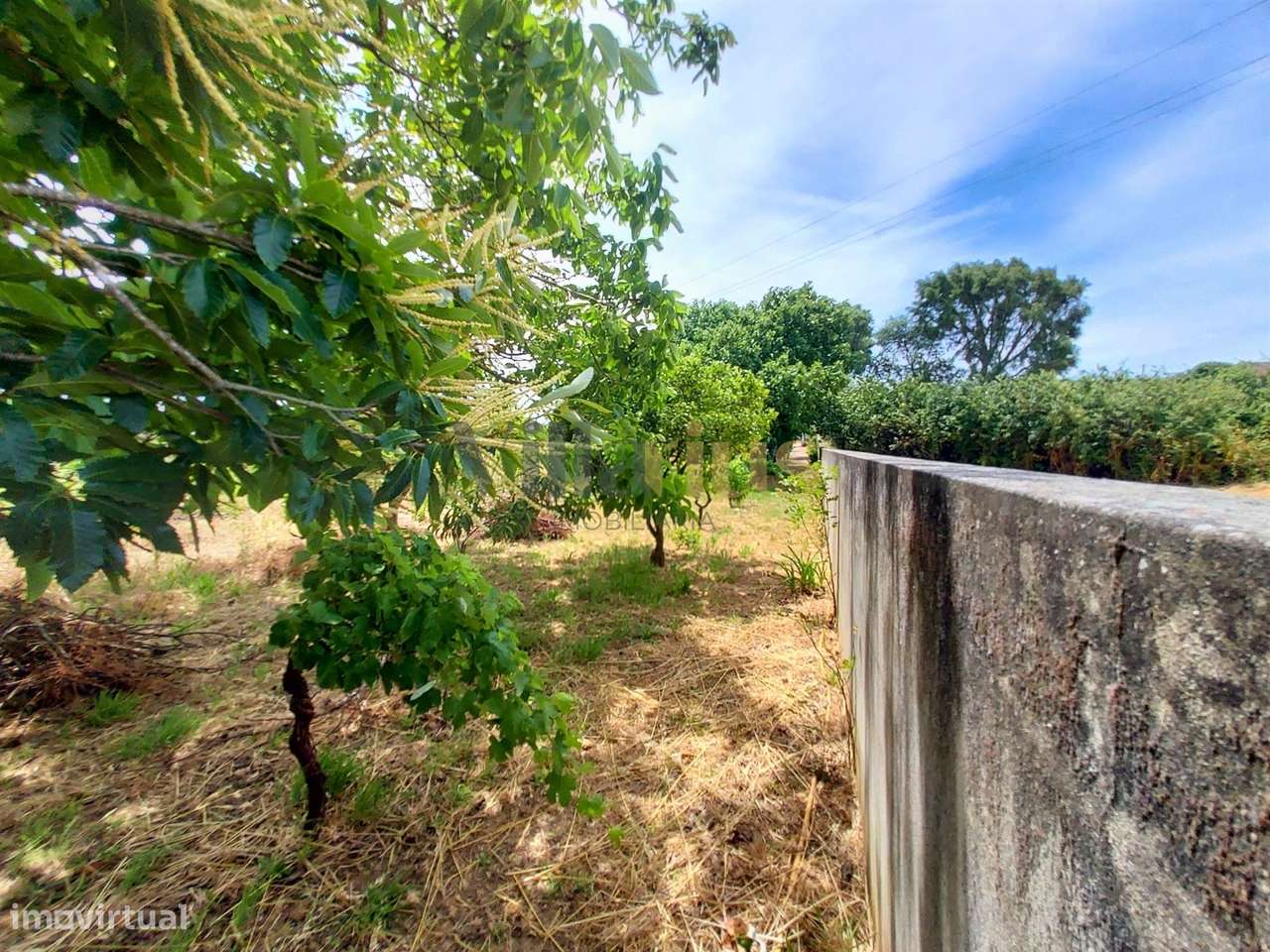 Moradia T2 com Piscina, Pomar e Garagens Duplas a 5 Minutos de Tomar |-14