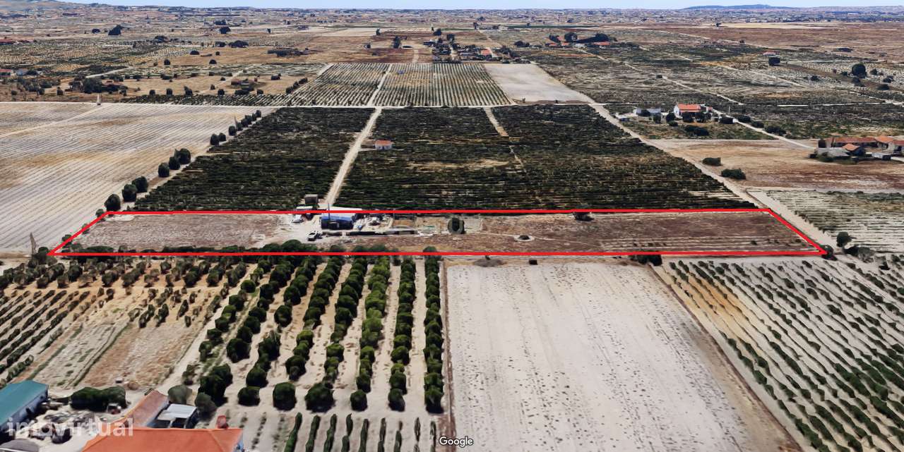 Terreno Rústico Palmela - Grande imagem: 5/5