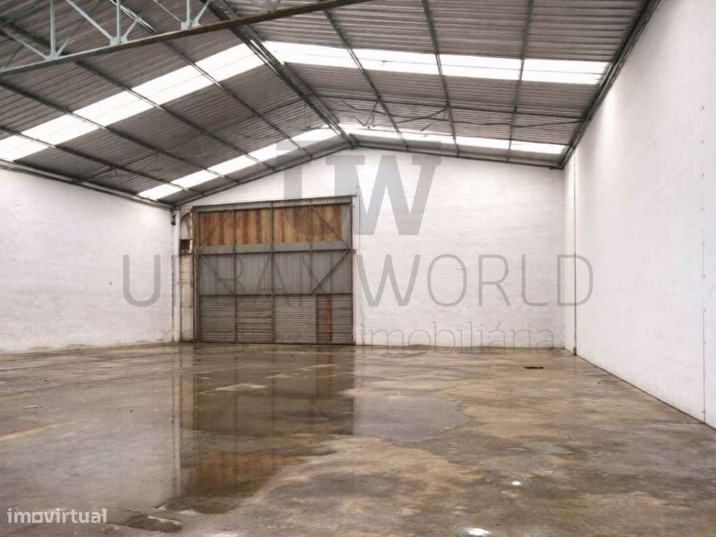 Armazém, Chamusca - Santarém, 4.665m2-6