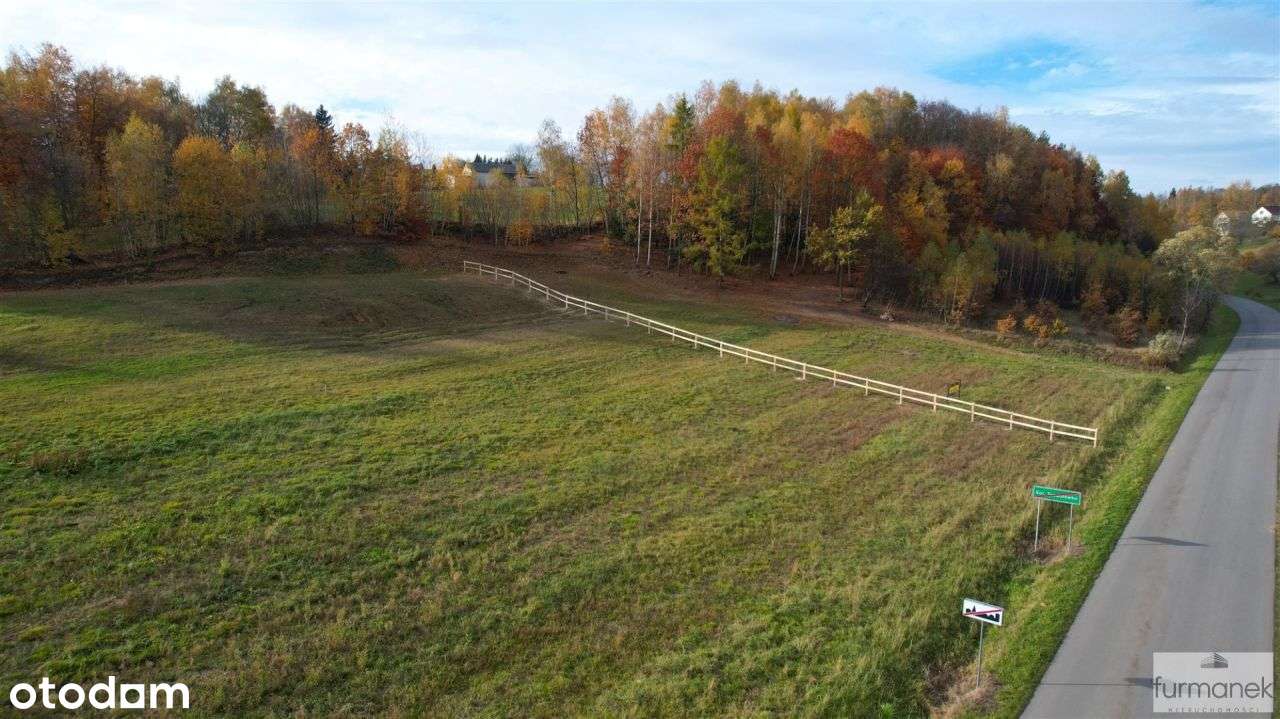 Widokowa działka budowlana 26 arów na Roztoczu - Pełny obrazek: 4/14