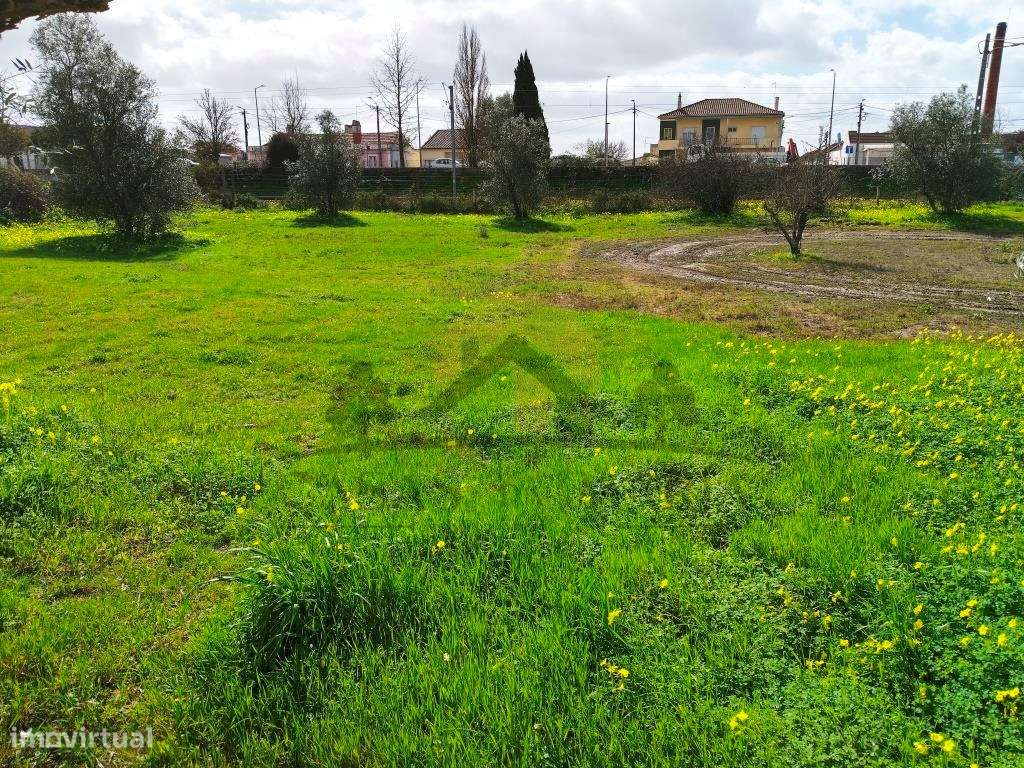 Vendas Novas - Lote de terreno-7