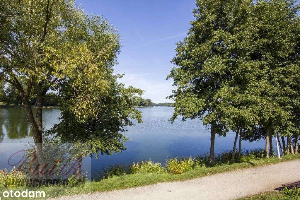 Sprzedam działkę inwestycyjną w Wągrowcu 9714 m2-6