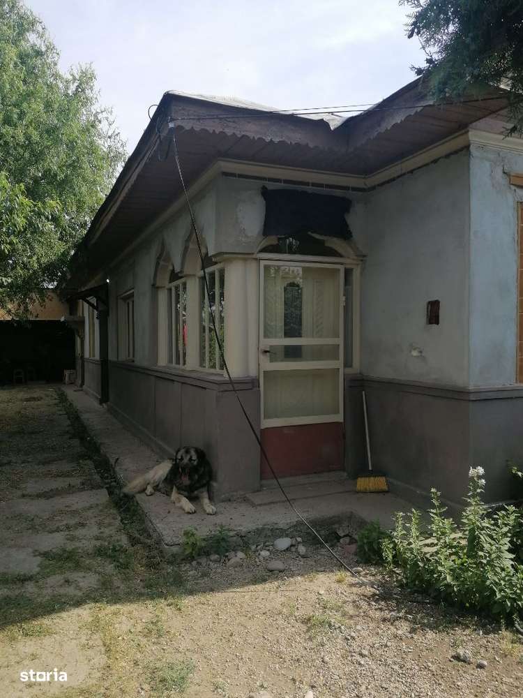 Vand casa batraneasca cu teren 2200 mp, Tantava, aproape de București - Imagine principală: 2/8