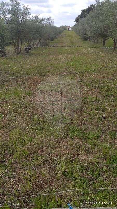 Terreno  para venda - Grande imagem: 5/7