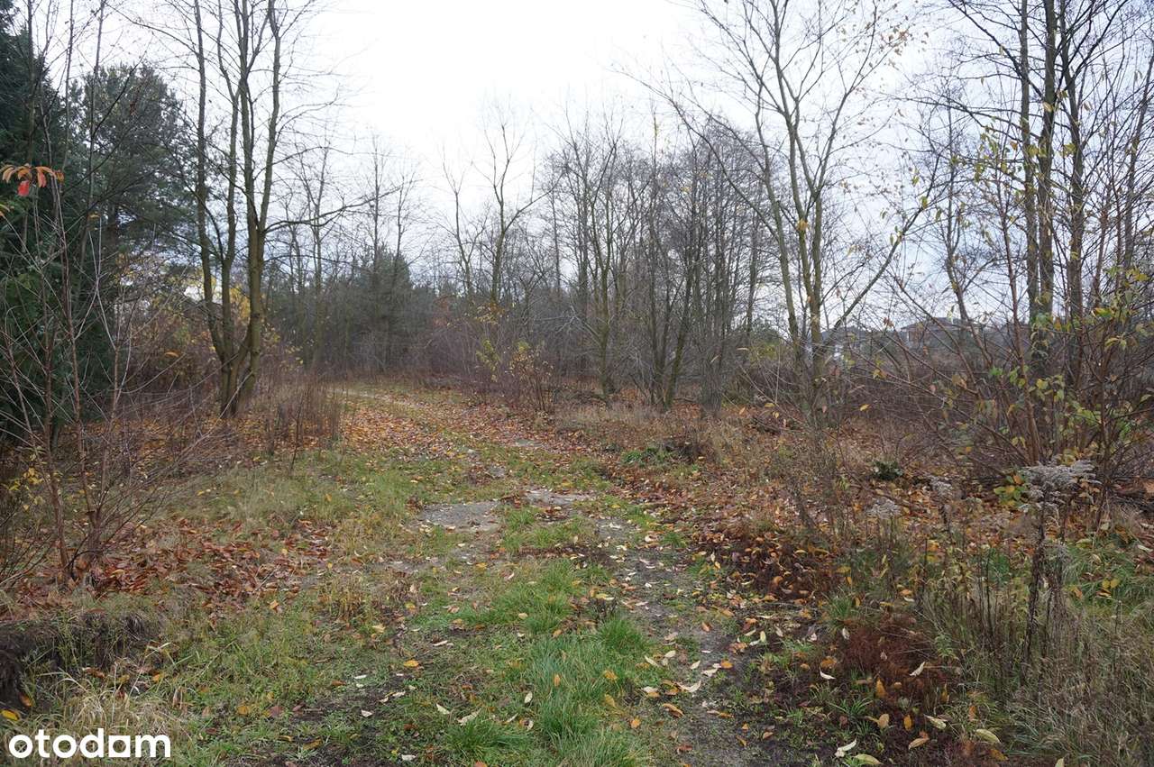 Działka budowlana w Aleksandrii k. Ozorkowa (1.191 m2) - Pełny obrazek: 5/8