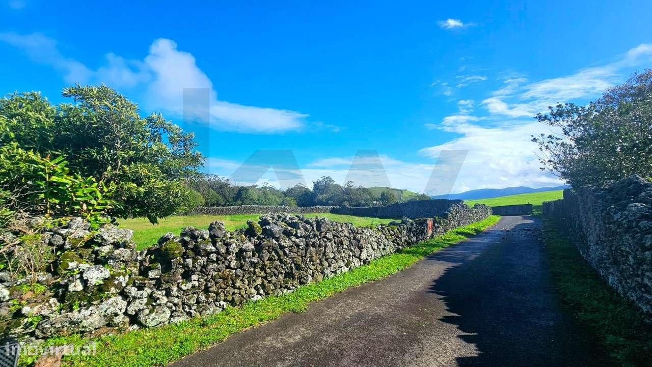 Terreno Rústico com mata - Pico do Alho - Rabo Peixe - Ribeira Grande - Grande imagem: 3/23