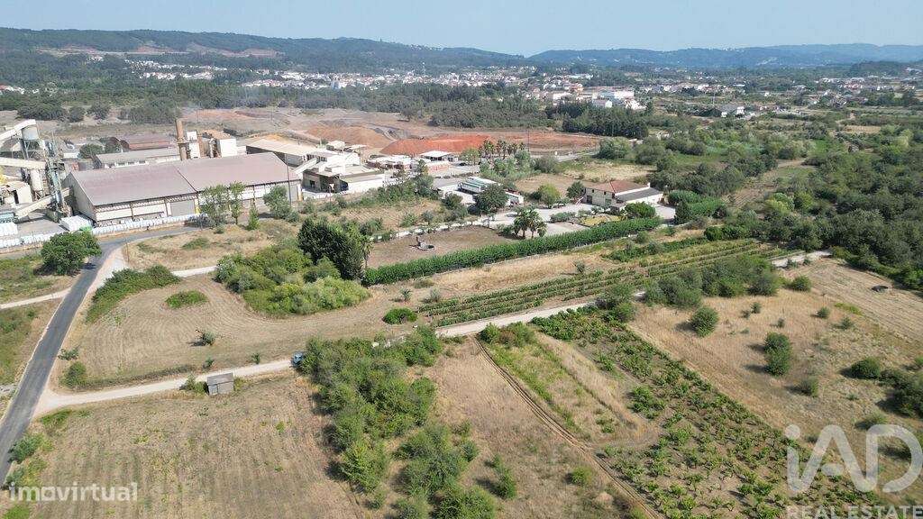 Terreno Agrícola em Cumeeira - Grande imagem: 5/23