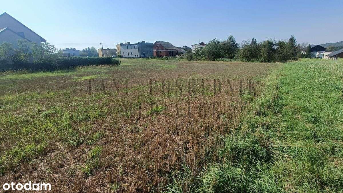 Działka Gorzyce - Osiny w sąsiedztwie lasu.-9