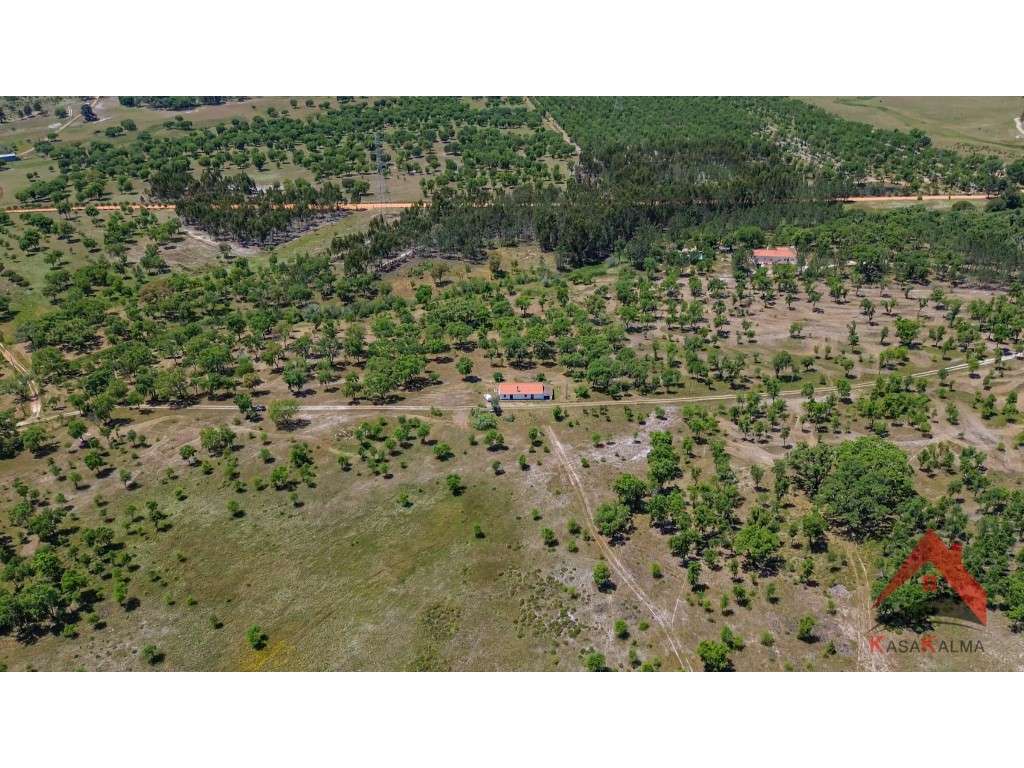 HERDADE COM 18,7 HA | TURISMO AGRICULTURA ENERGIA SOLAR - Grande imagem: 5/28