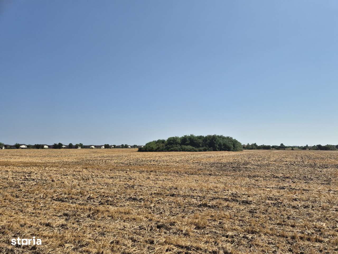 Teren intravilan 4428 mp - Balotesti - Imagine principală: 2/5