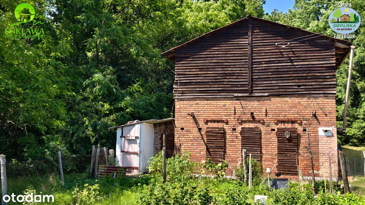 ENKLAWA prezentuje: LEŚNICZÓWKA niedaleko Krosna Odrzańskiego! CUDO!-18