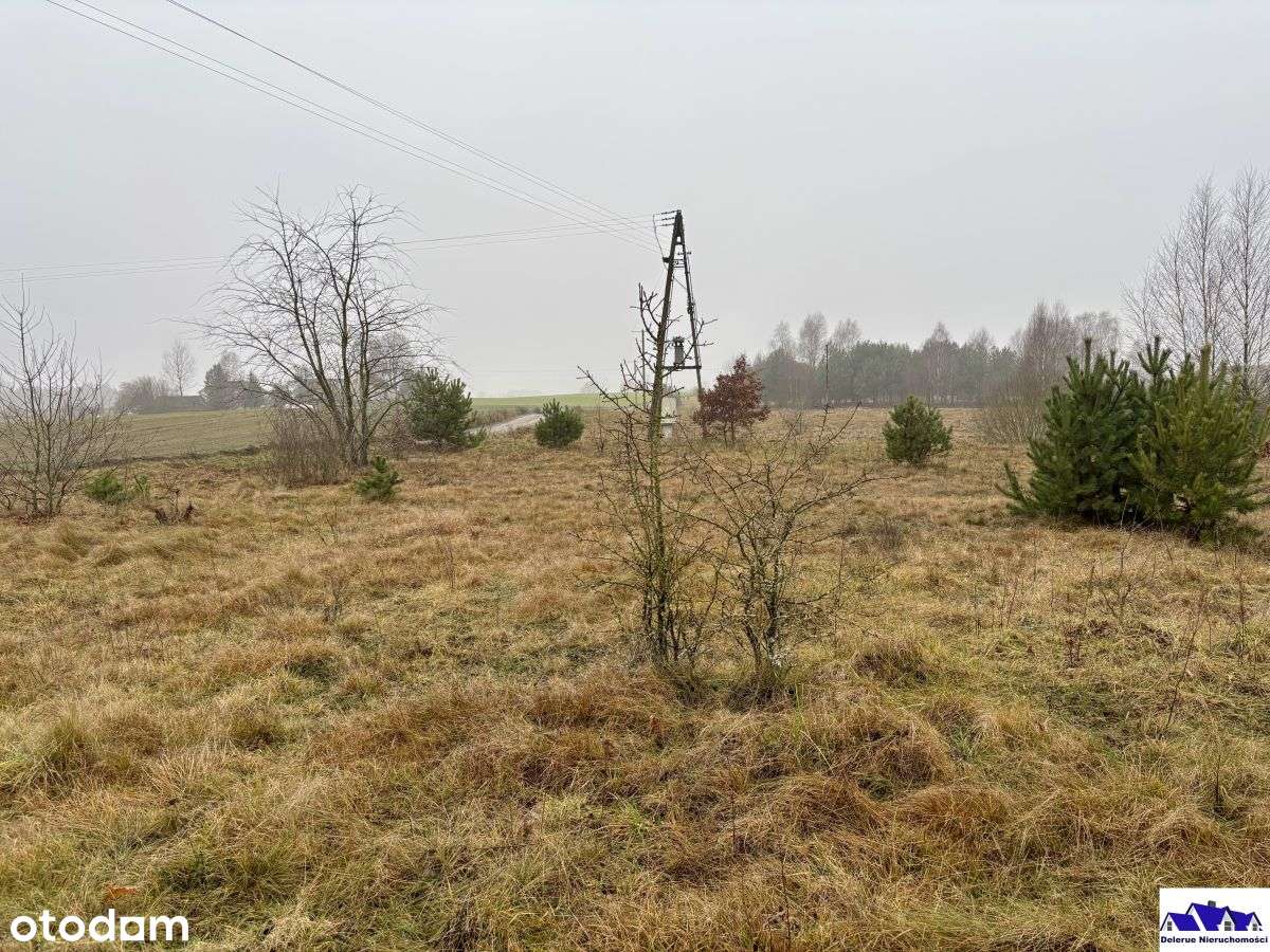Duża działka budowlana w spokojnej okolicy - Pełny obrazek: 1/7