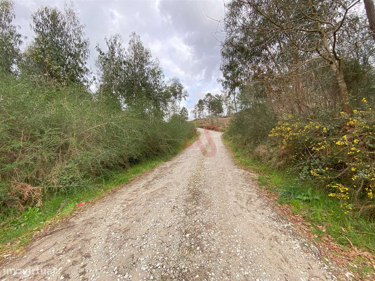 Terreno Rústico de construção com 2.135m2 em Lustosa, Lousada - Grande imagem: 5/8