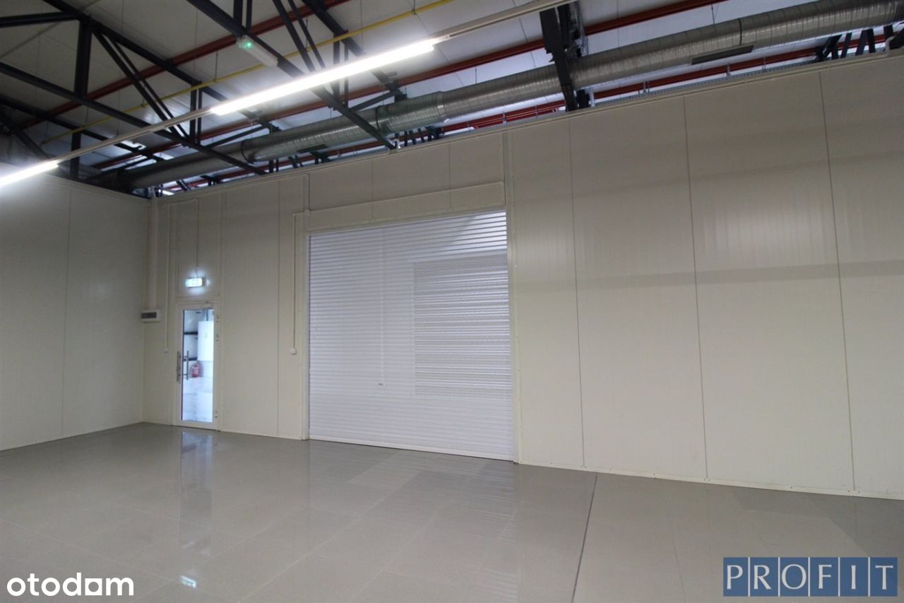 Lokal |różne metraże | 150m2 / 200m2 / 400m2 - Pełny obrazek: 1/8