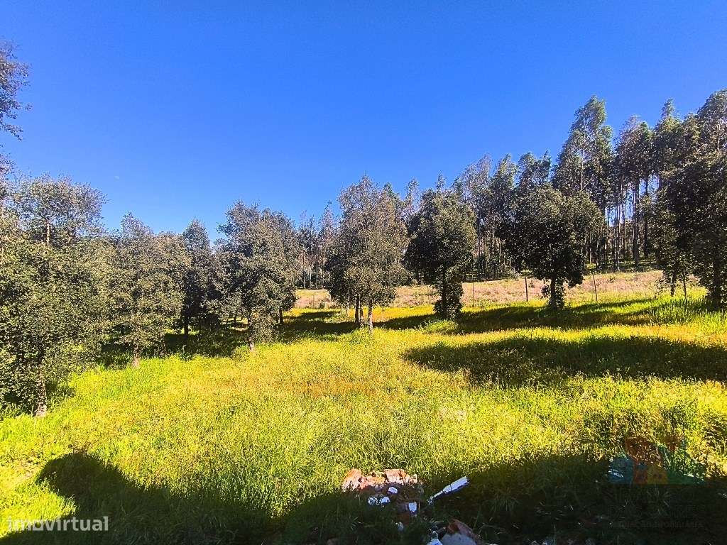 Moradia Isolada com terreno no concelho de Abrantes-14